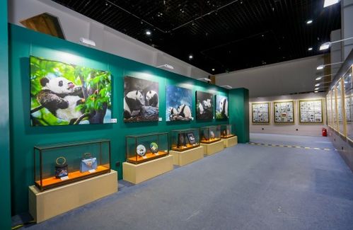 藝術聯結友誼，雙寶共慶甲子——慶祝中法建交60周年大熊貓金絲猴雙寶文化藝術展在京啟幕