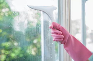 廷管家 專業家政與婚姻介紹，您的明智選擇